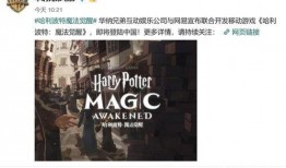 哈利波特最新爆料更新,神秘新篇章，揭秘未公开的魔法世界秘密